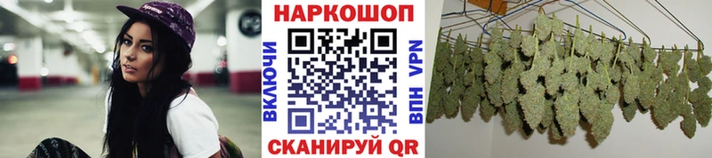 Купить наркотики Красноярск Кодеин МЕФ Гашиш СК Галлюциногенные грибы