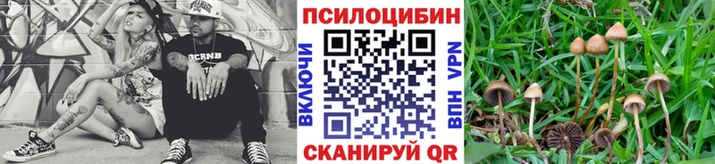 Псилоцибиновые грибы Psilocybine cubensis  продажа наркотиков  Красноярск 