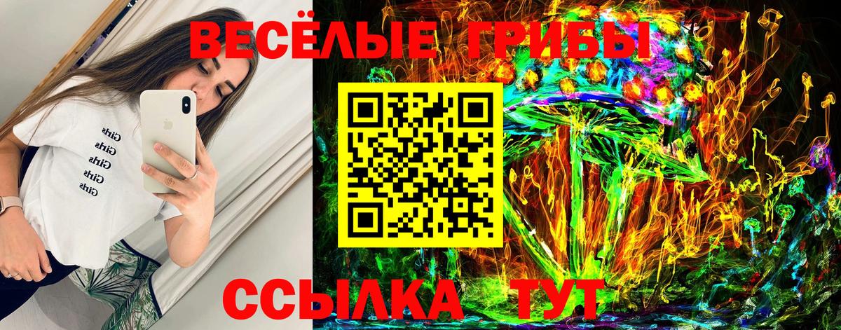 Галлюциногенные грибы Psilocybe  Вход с VPN  Красноярск 